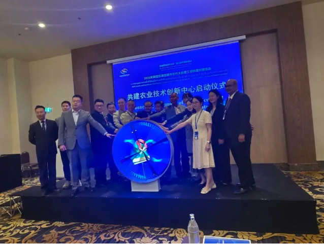 肥多多副总裁、印尼运营中心总经理刘志远